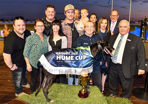 Greyhound Upcoming Races.